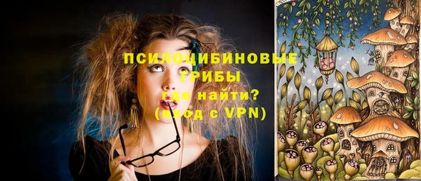 ПСИЛОЦИБИНОВЫЕ ГРИБЫ Бронницы