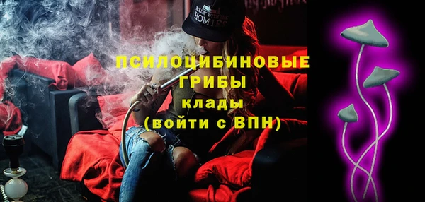 ПСИЛОЦИБИНОВЫЕ ГРИБЫ Бронницы