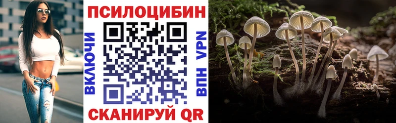 Псилоцибиновые грибы MAGIC MUSHROOMS  купить   Нижний Новгород 